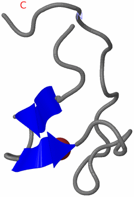 Image NMR Structure - model 1