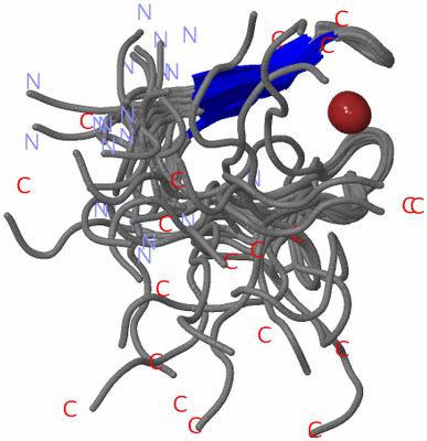 Image NMR Structure - all models