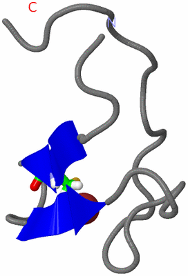 Image NMR Structure - model 1, sites