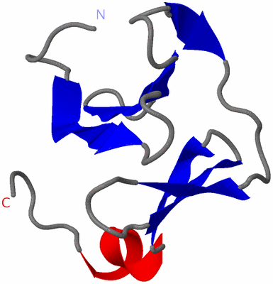 Image NMR Structure - model 1