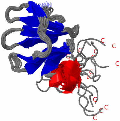 Image NMR Structure - all models