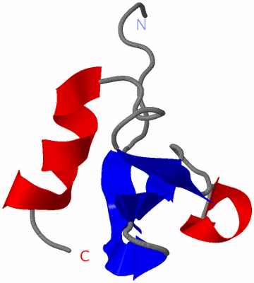 Image NMR Structure - model 1