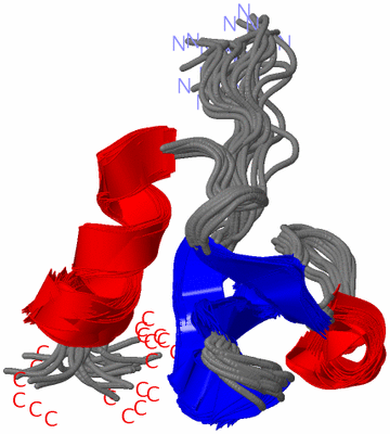 Image NMR Structure - all models