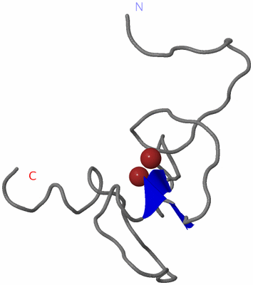 Image NMR Structure - model 1