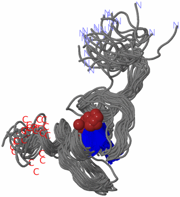 Image NMR Structure - all models