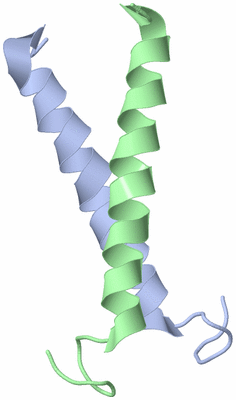 Image NMR Structure - model 1