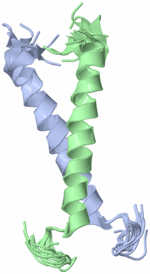 Image NMR Structure - all models