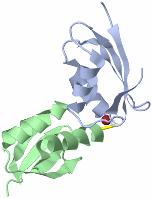 Image NMR Structure - model 1