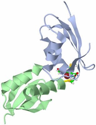 Image NMR Structure - model 1, sites