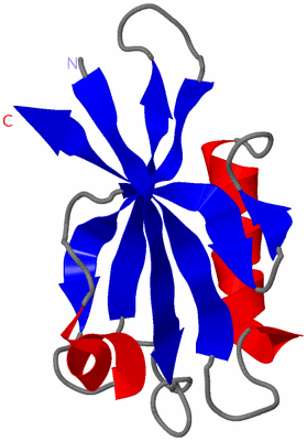 Image NMR Structure - model 1