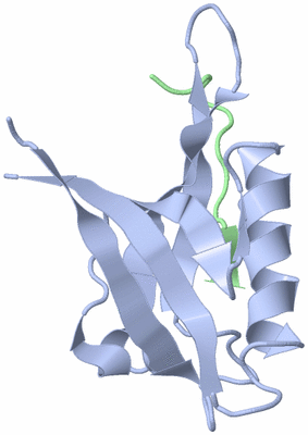 Image NMR Structure - model 1