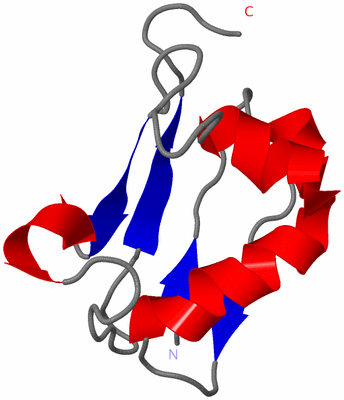 Image NMR Structure - model 1