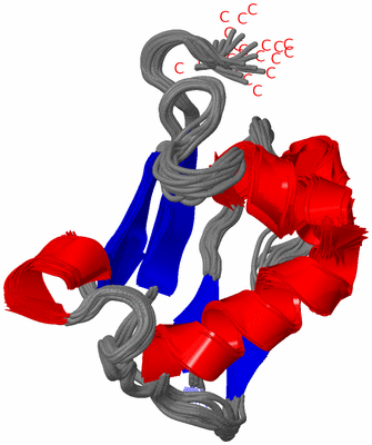 Image NMR Structure - all models