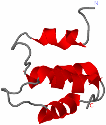 Image NMR Structure - model 1