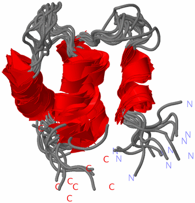 Image NMR Structure - all models