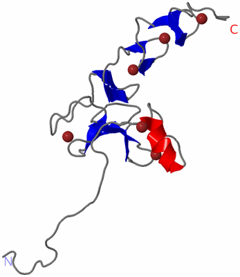 Image NMR Structure - model 1