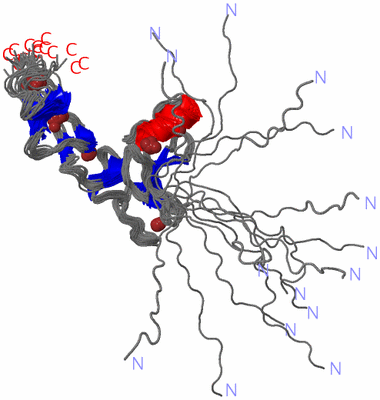 Image NMR Structure - all models