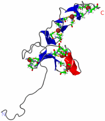 Image NMR Structure - model 1, sites