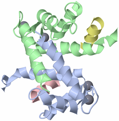 Image NMR Structure - model 1