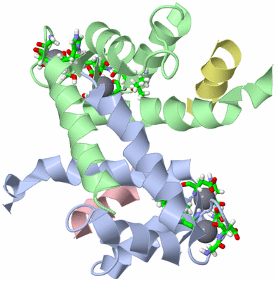 Image NMR Structure - model 1, sites