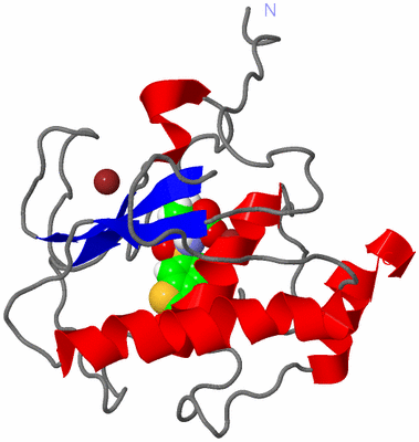 Image NMR Structure - model 1