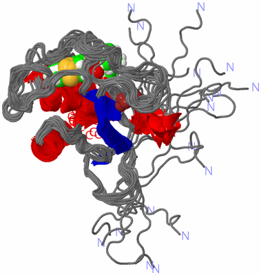 Image NMR Structure - all models