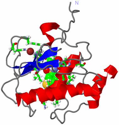 Image NMR Structure - model 1, sites