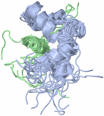 Image NMR Structure - all models