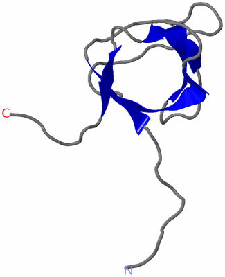 Image NMR Structure - model 1