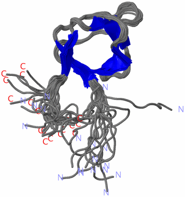 Image NMR Structure - all models