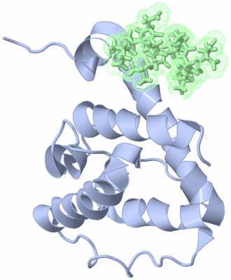 Image NMR Structure - model 1