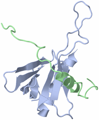 Image NMR Structure - model 1