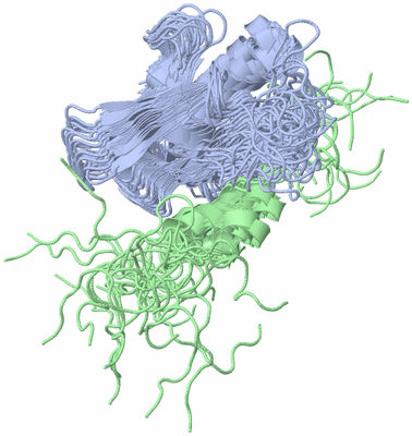 Image NMR Structure - all models