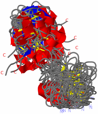 Image NMR Structure - all models