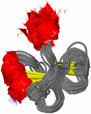 Image NMR Structure - all models