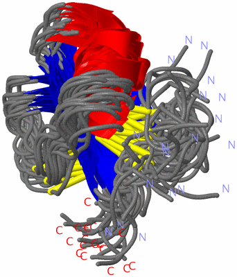 Image NMR Structure - all models