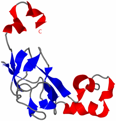 Image NMR Structure - model 1