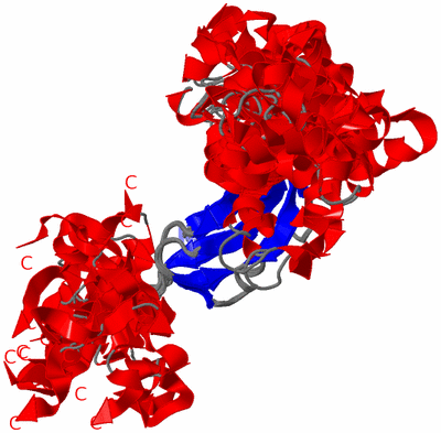 Image NMR Structure - all models