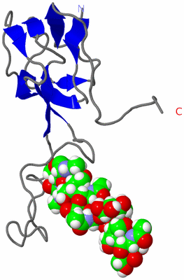 Image NMR Structure - model 1