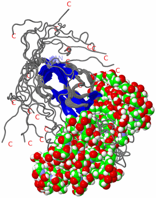 Image NMR Structure - all models