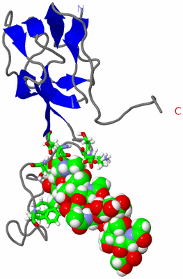 Image NMR Structure - model 1, sites