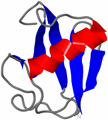 Image NMR Structure - model 1