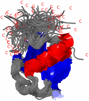 Image NMR Structure - all models