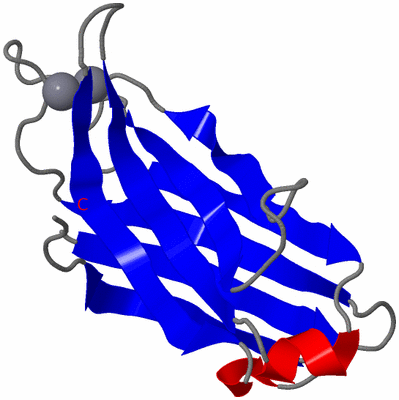 Image NMR Structure - model 1