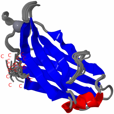 Image NMR Structure - all models