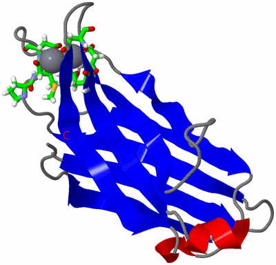 Image NMR Structure - model 1, sites