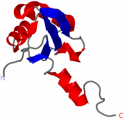 Image NMR Structure - model 1