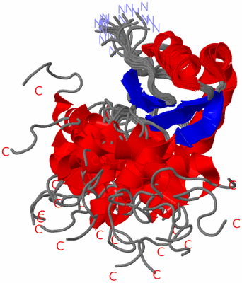 Image NMR Structure - all models