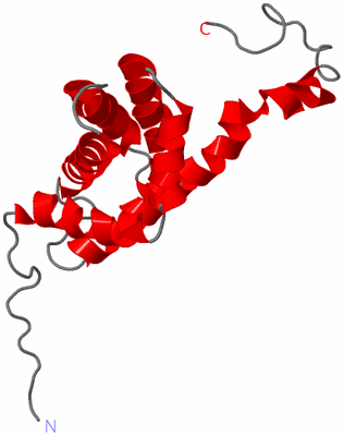 Image NMR Structure - model 1