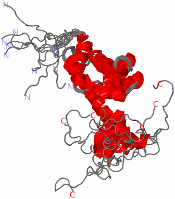 Image NMR Structure - all models